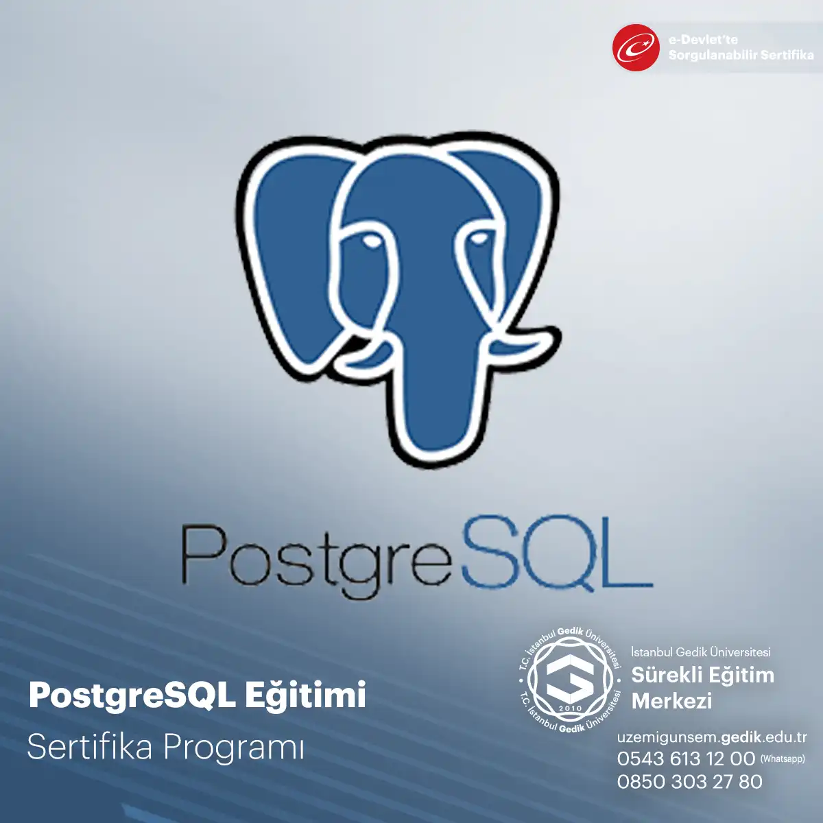 PostgreSQL Eğitimi Sertifika Programı